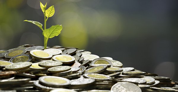 Leia mais sobre o artigo A Escola Austríaca de Economia: Fundamentos, História e Impactos